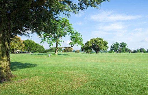 Le clos teinturier terrain